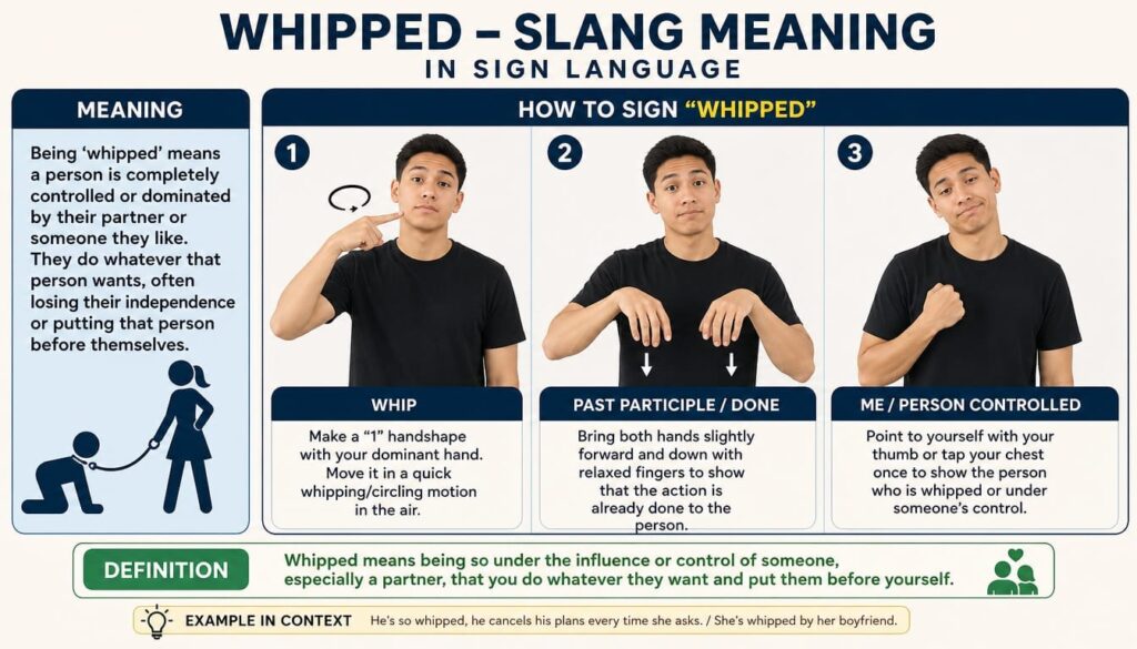 Meaning & Definition of Whipped Slang Meaning